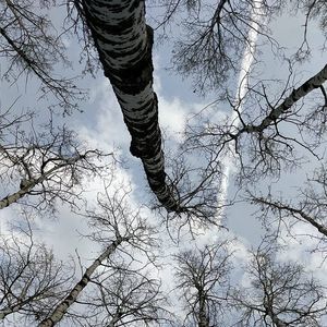 Meet your Posher, Micky